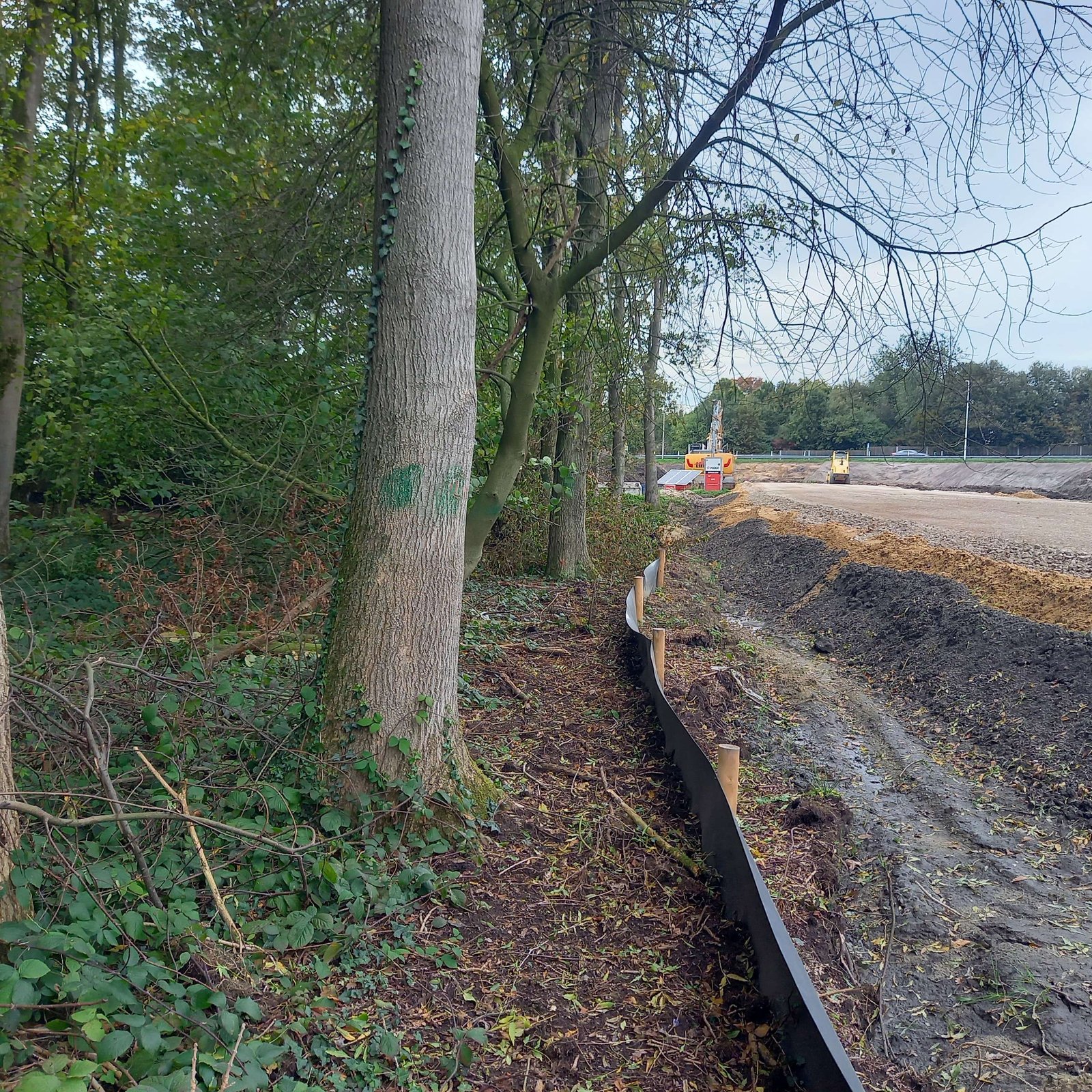 Ecologische begeleiding