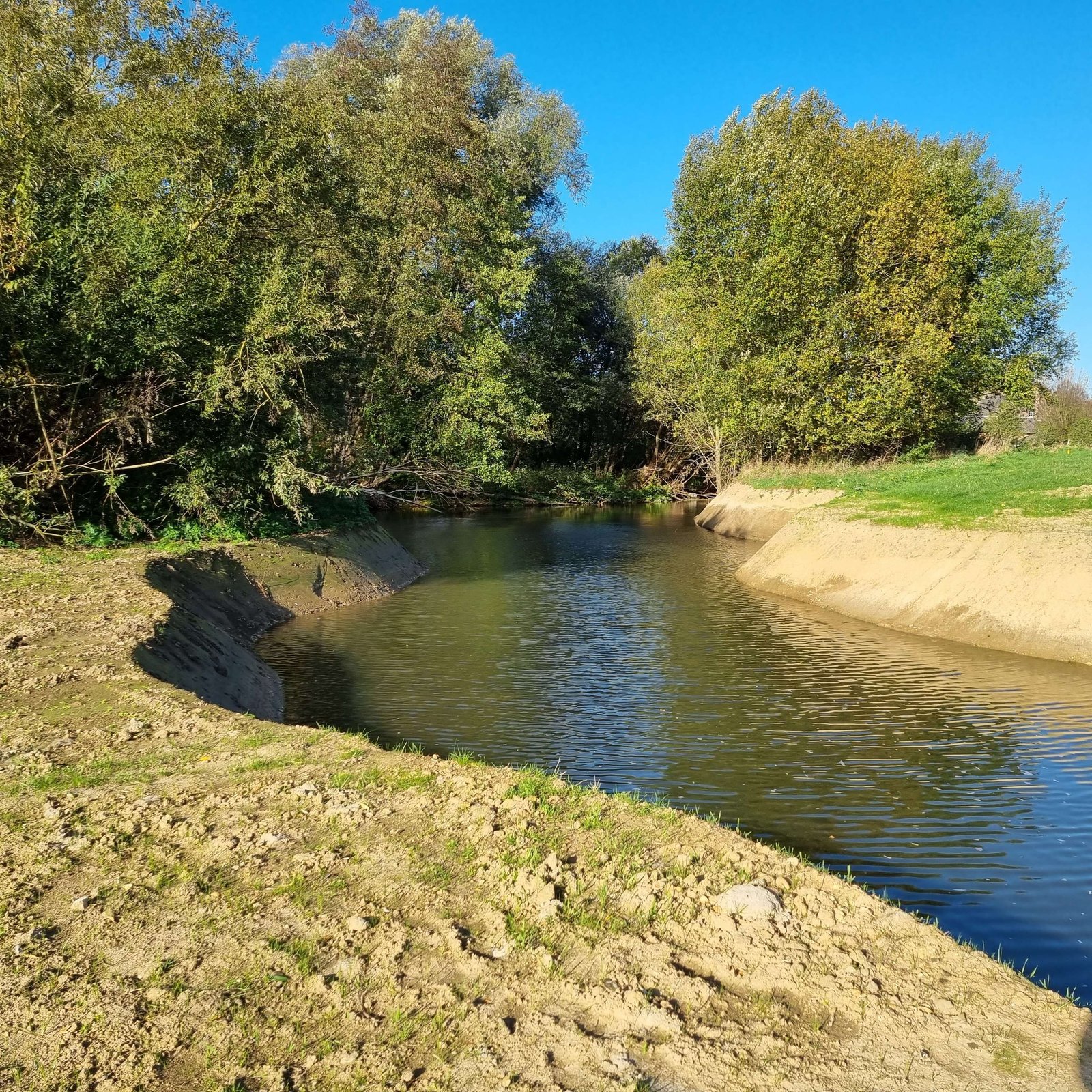 Natuurprojectontwikkelaar