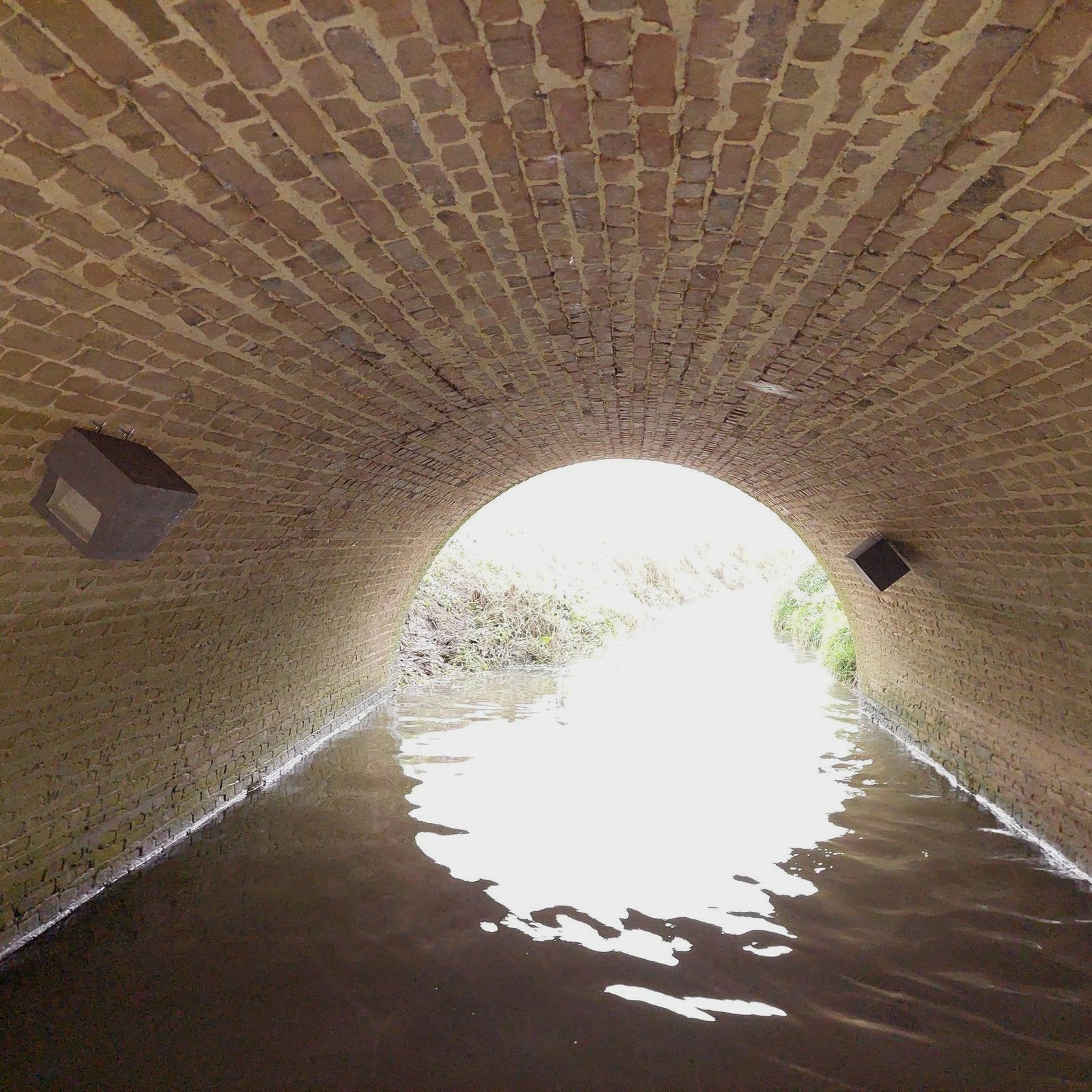 Natuurwetgeving